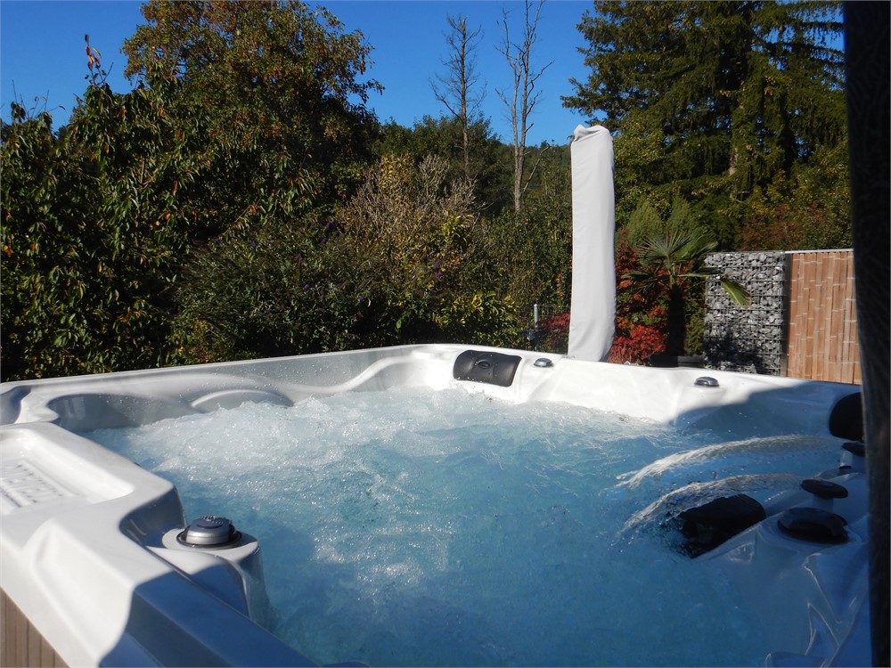Whirlpool Swiss Dome