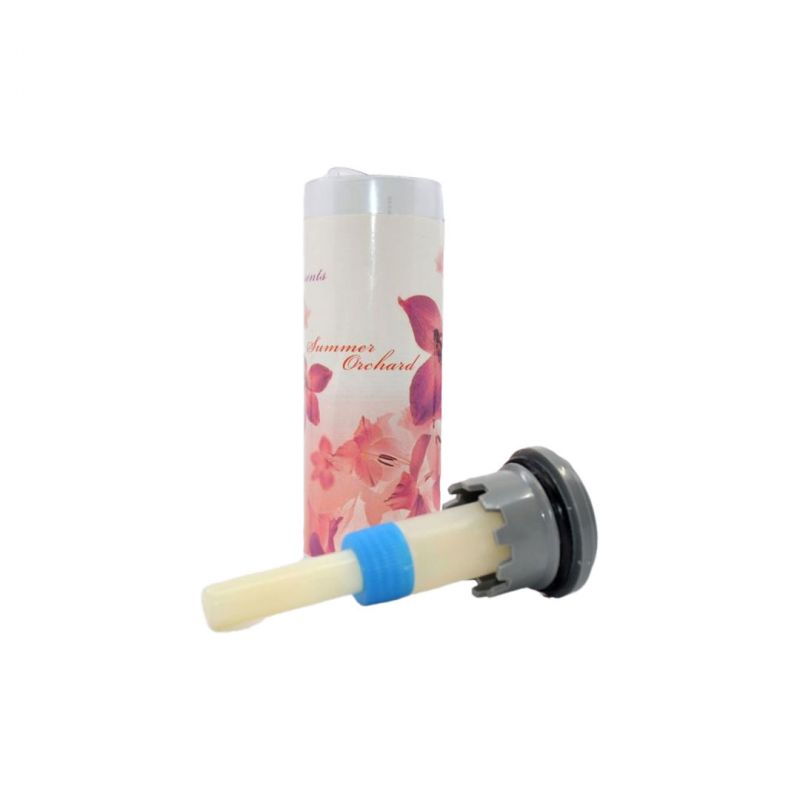 CIU-Sommer-Orchideen