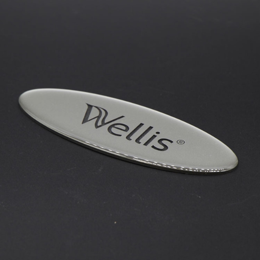 Kopfkissen Logo - Wellis