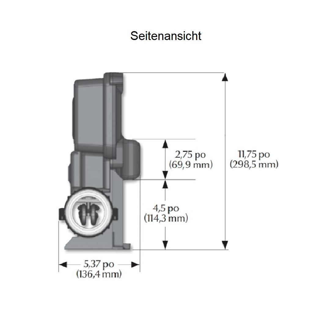 Gecko Steuerung IN.XE