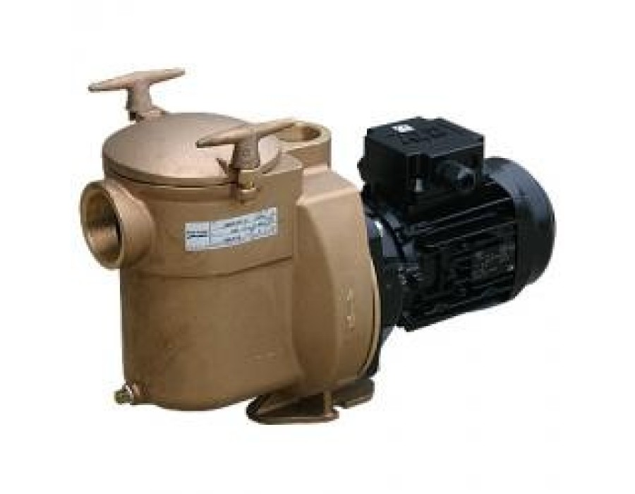 Sta-Rite Bronze Pumpe BRD-1 3/4PS 0.55kW 230V