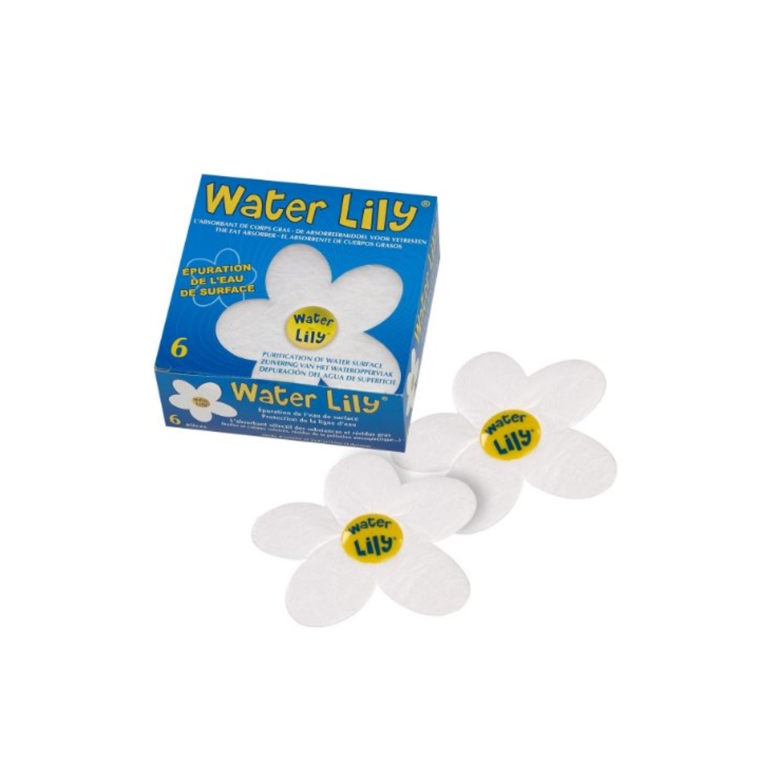Water Lily 6Stk.